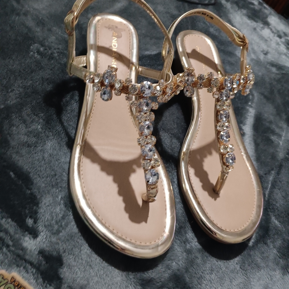 Andiamo Bling Sandals size 9W